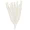 35" Natural Dried Palm Leaf Bundle with Feather-Inspired Stems